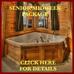 Midweek Senior Package at Tall Timber