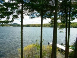 The view of Back Lake from Tall Timber's Bess